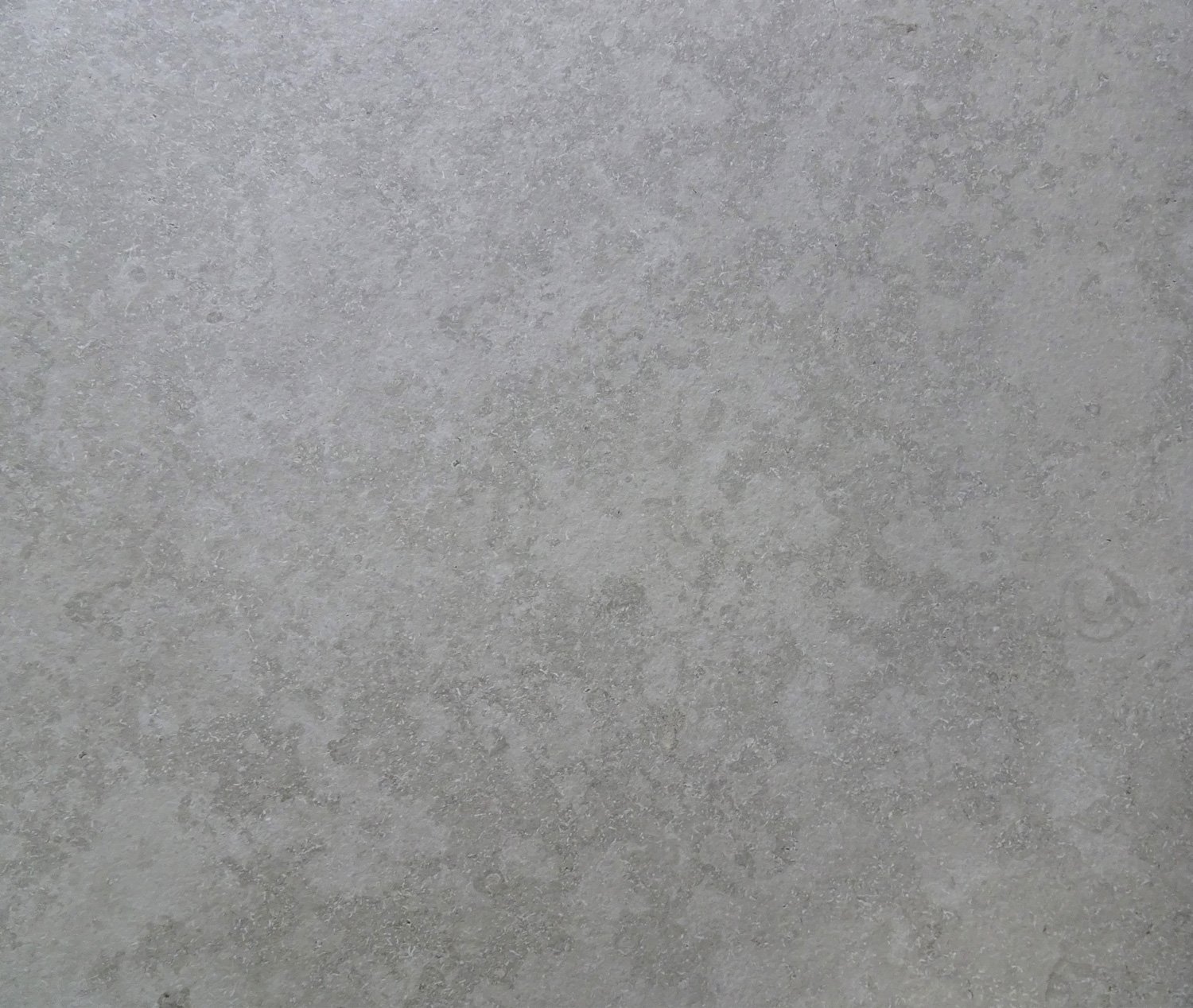 Jurassic-Grey-Porcelain