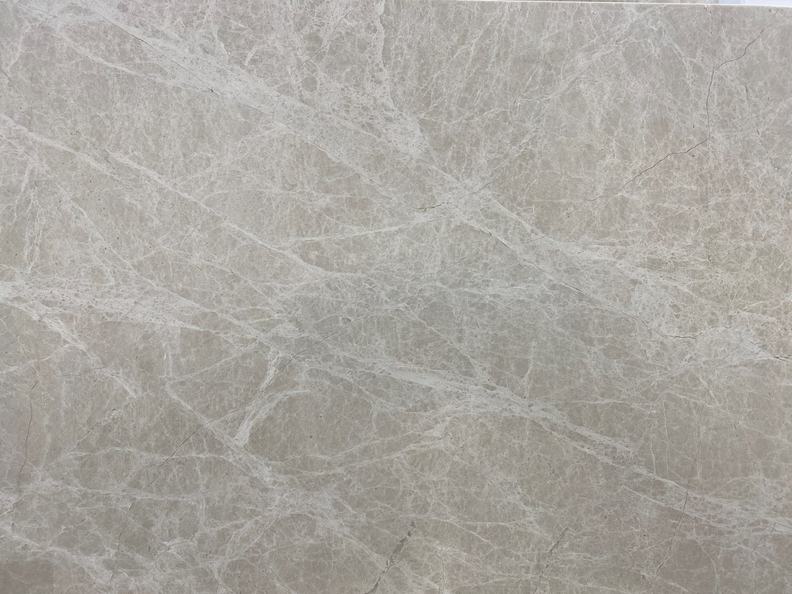 papillon-honed-1-scaled